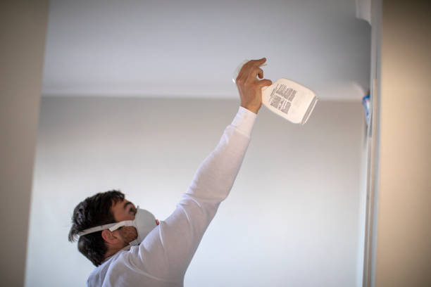 Best Mold Testing and Inspection Services in Osceola, WI