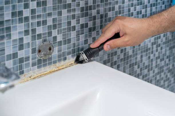 Best Industrial Mold Remediation in Osceola, WI